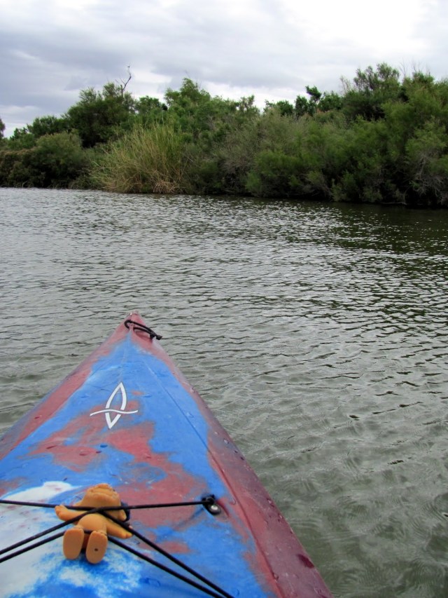 How I Spent My Spring