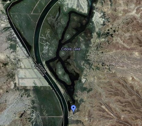 Following the levee south toward Cibola Lake, at the south end there is a road up the hill for an overview of the lake. This is a great spot to watch the river of swallows at dawn moving north off their roost sites. Check out the Cibola NWR for more info on how to get here.