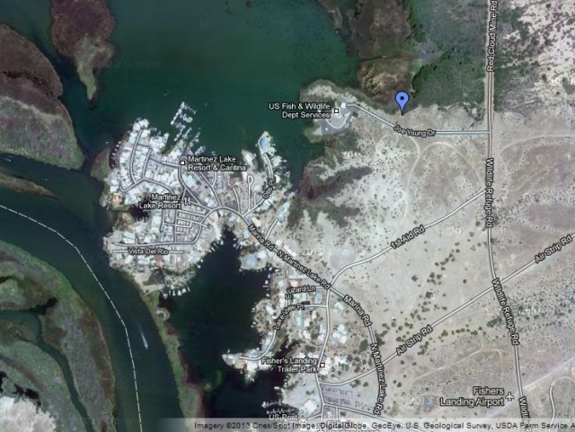 From the road to Fisher's Landing, right before entering the landing proper turn right onto the Red Cloud Mine Rd/Wildlife Refuge Rd and then a left on Joe Young Rd. Park off the road at the edge of the marsh where the blue marker is. This has been our best viewpoint for watching the swallows and be sure and listen for Black Rails!